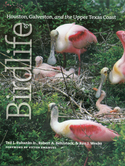 Title details for Birdlife of Houston, Galveston, and the Upper Texas Coast by Ted L. Eubanks - Available